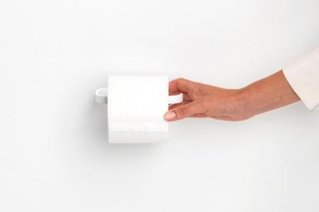 Uchwyt na papier toaletowy Mineral Fresh White - Brabantia